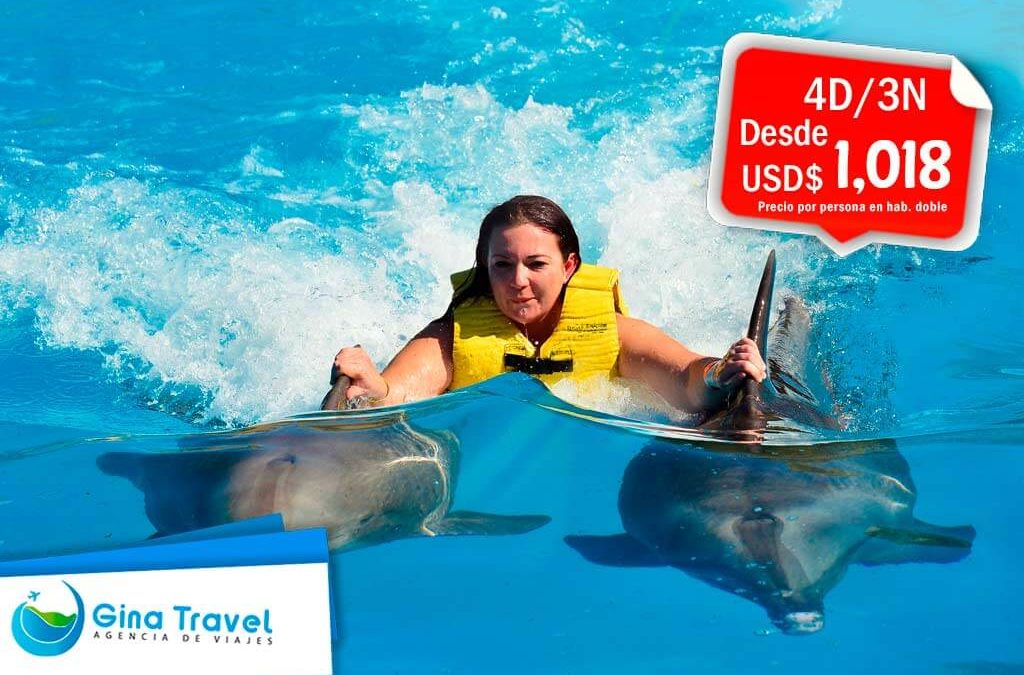 paquetes internacionales a isla margarita delfines