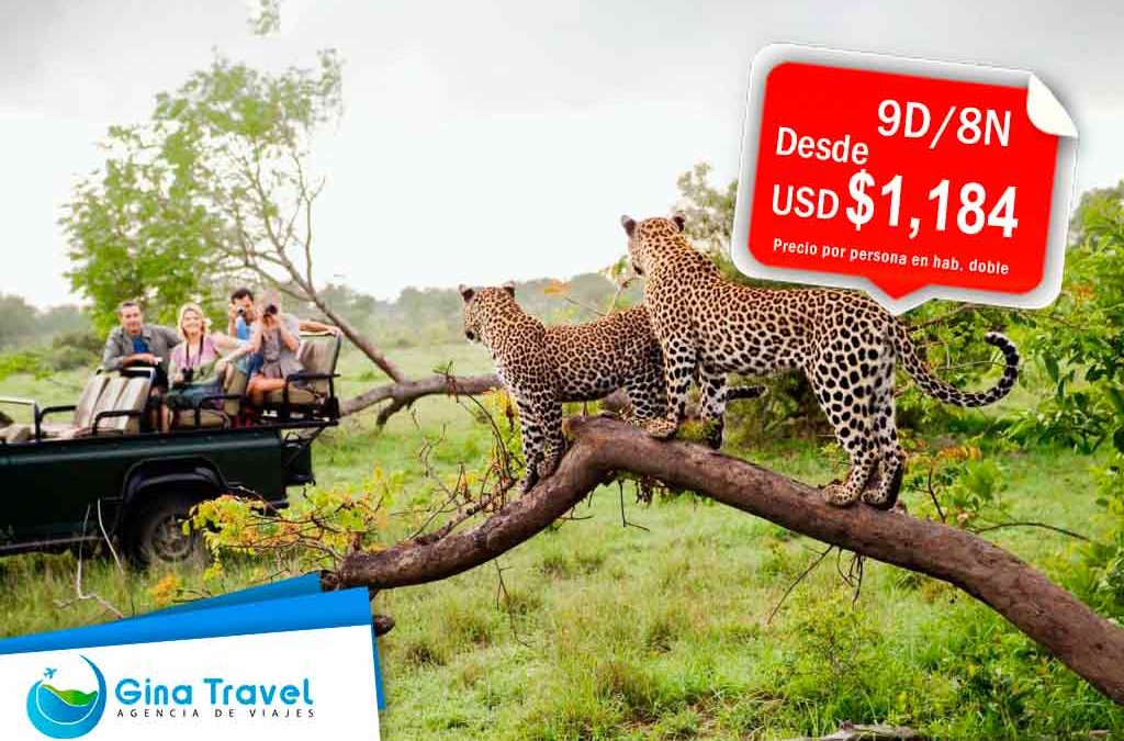 paquetes a sudafrica