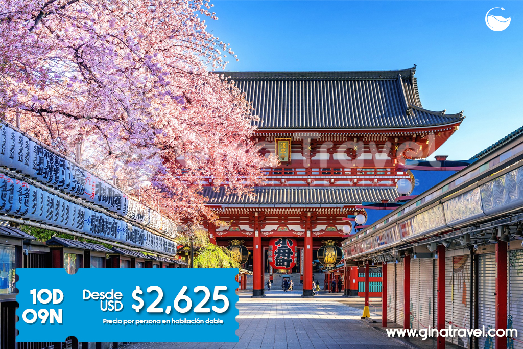 Templos tradicionales y paisajes icónicos de Japón incluidos en nuestros paquetes turísticos.