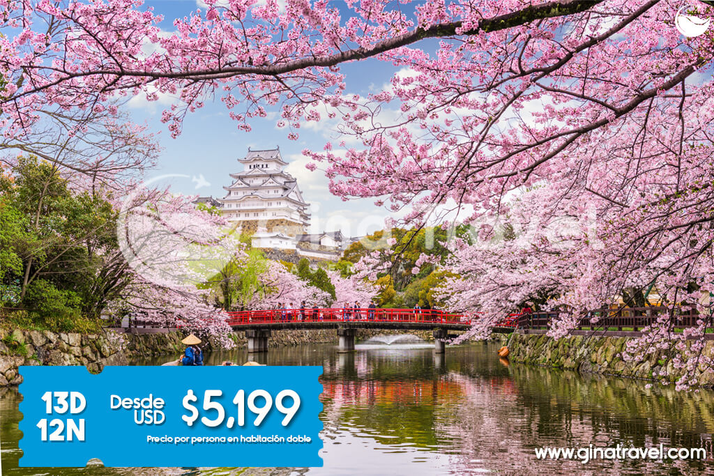 Paquetes turísticos a Japón: templos tradicionales, paisajes únicos y cultura japonesa en tours organizados.
